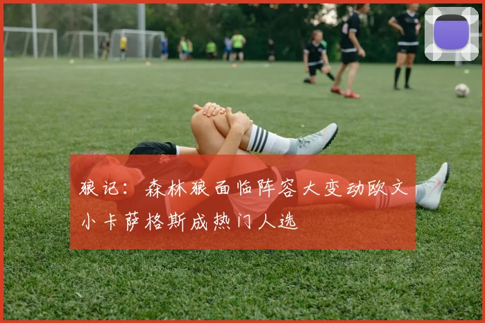 狼记：森林狼面临阵容大变动欧文小卡萨格斯成热门人选