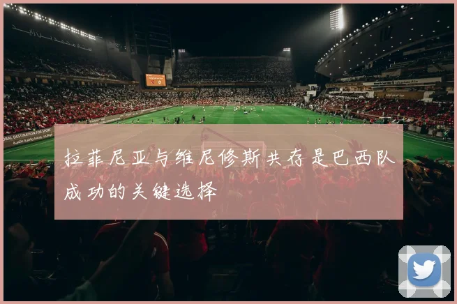 拉菲尼亚与维尼修斯共存是巴西队成功的关键选择