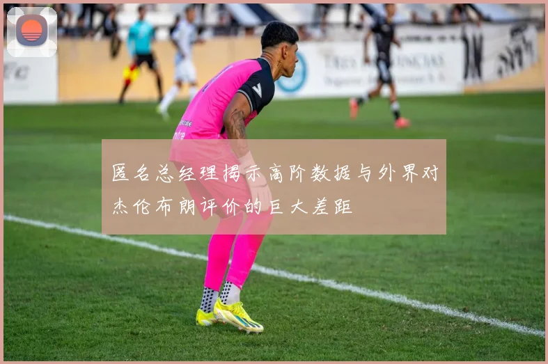 匿名总经理揭示高阶数据与外界对杰伦布朗评价的巨大差距